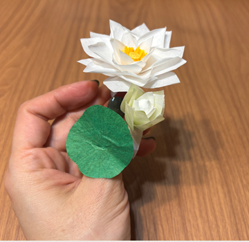 わかばやしさおり