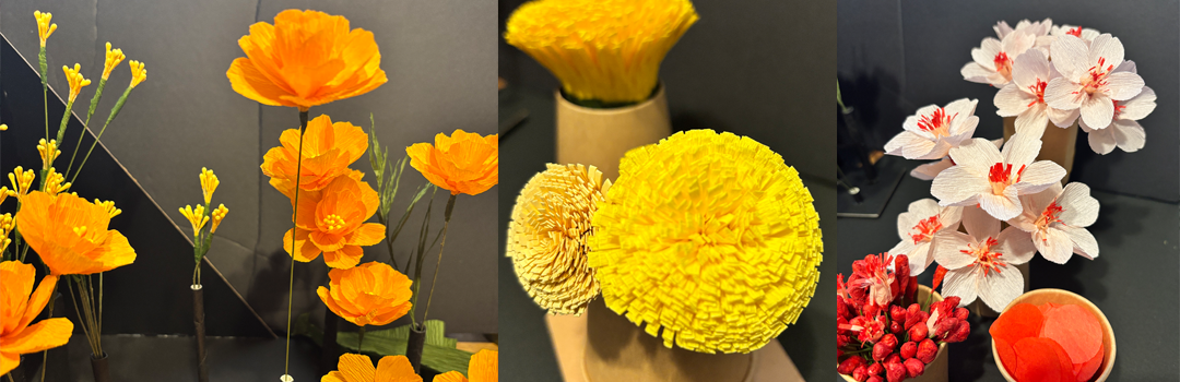 わかばやしさおり