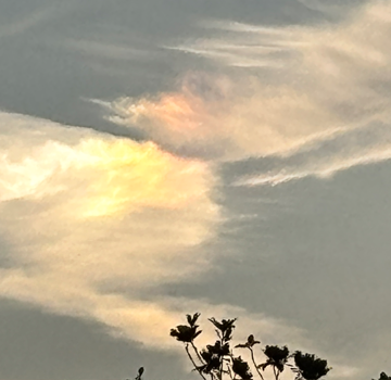 わかば新年の挨拶