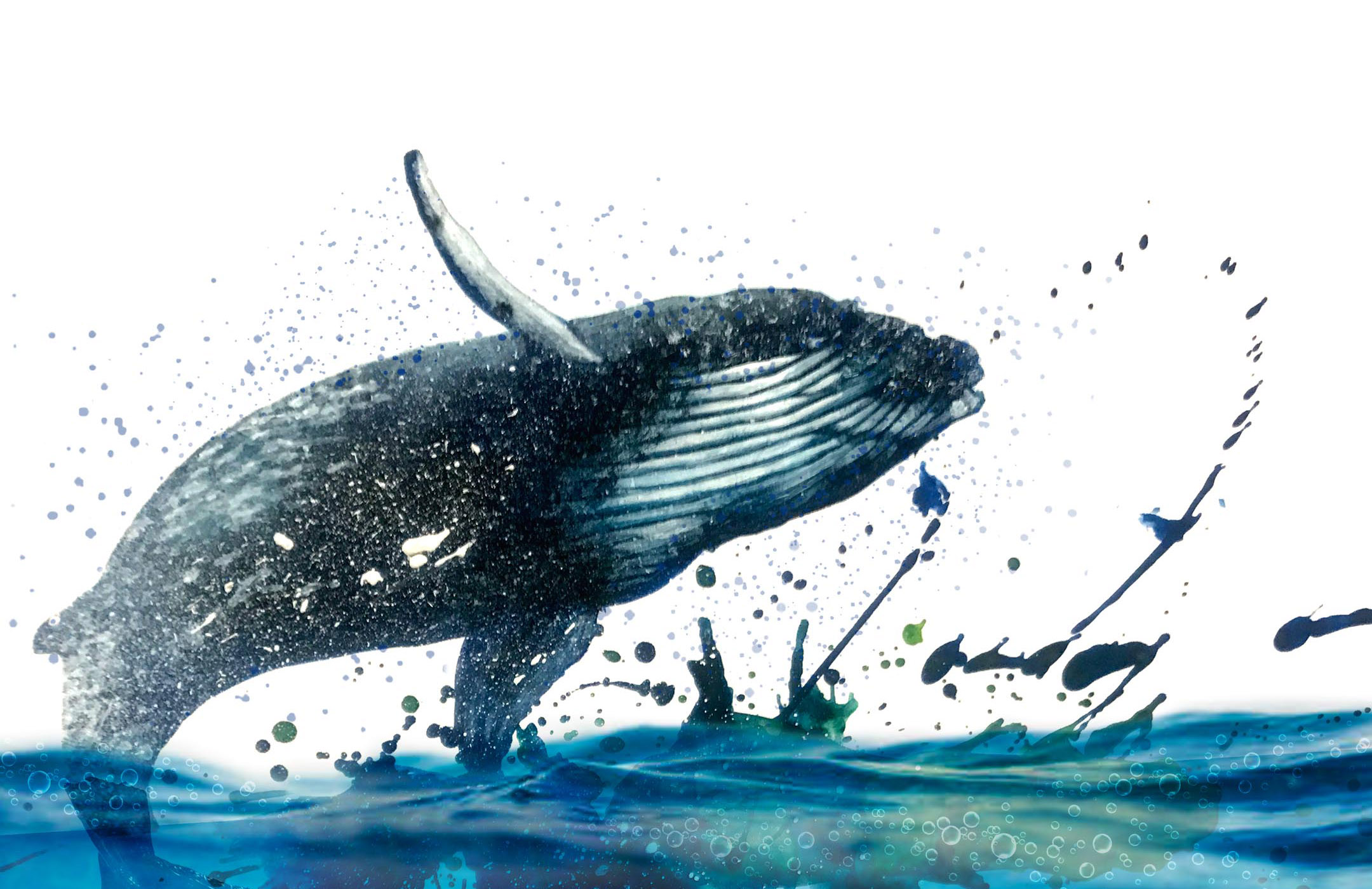 わかばのアート