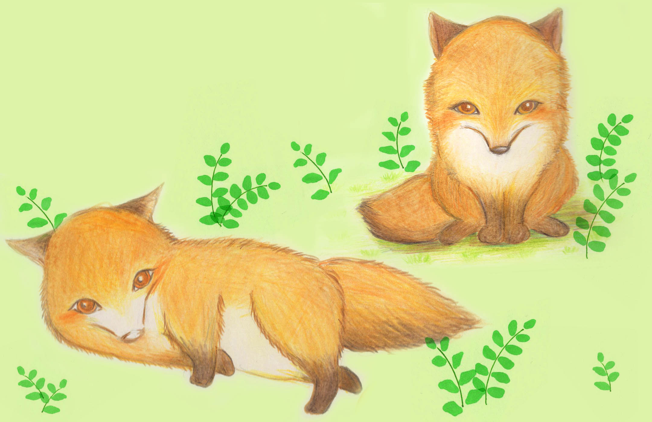 わかばのイラスト