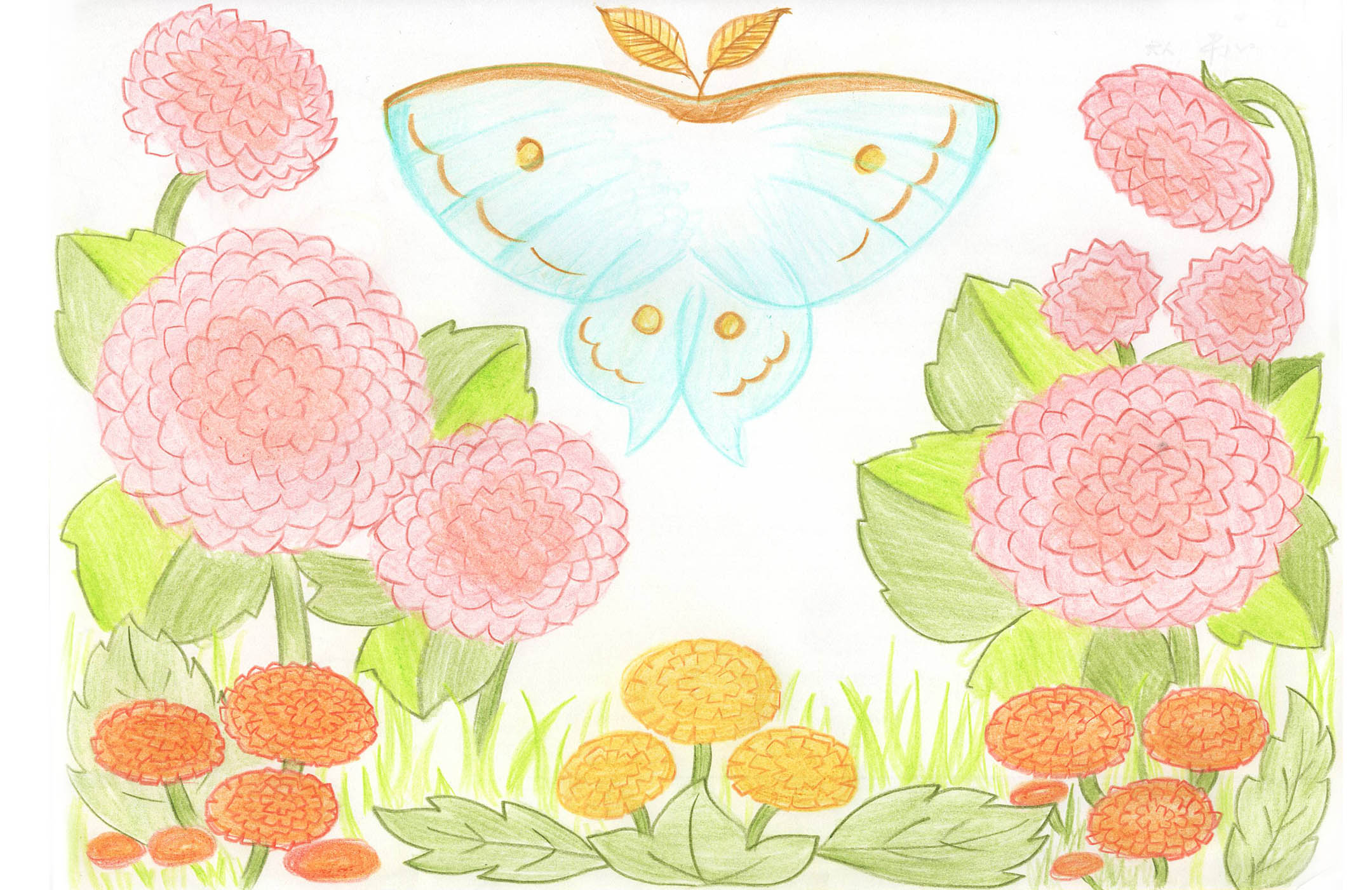 わかばのイラスト