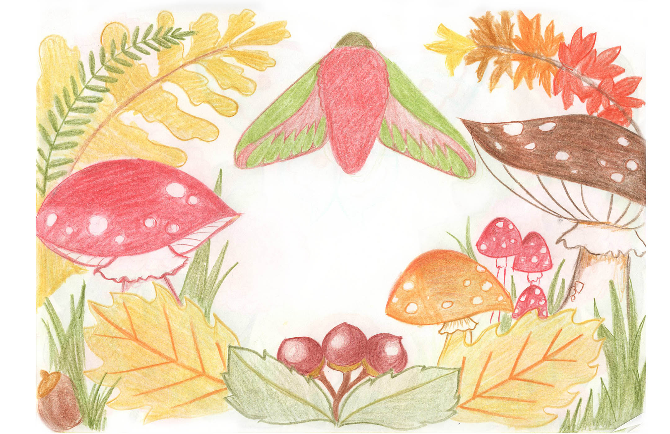 わかばのイラスト