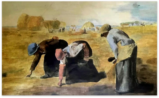 ミレー落穂拾い